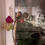 Gostisce Jelka * Hočko Pohorje