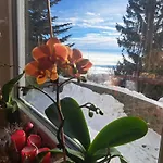 Gostisce Jelka Bed & Breakfast Hočko Pohorje