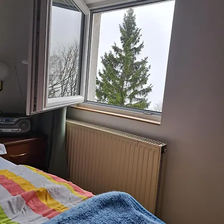 Gostisce Jelka