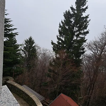 Bed and Breakfast Gostisce Jelka Hočko Pohorje