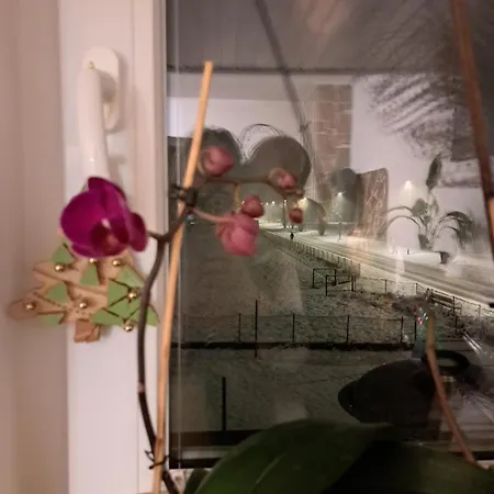 Gostisce Jelka * Hočko Pohorje