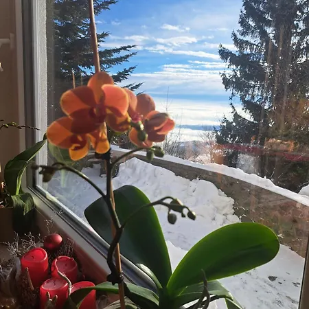 Gostisce Jelka Bed & Breakfast Hocko Pohorje
