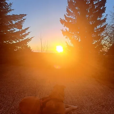 Gostisce Jelka Hočko Pohorje