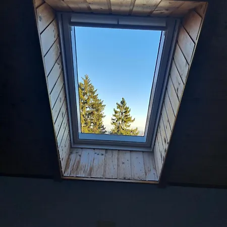 Bed and Breakfast Gostisce Jelka Hočko Pohorje