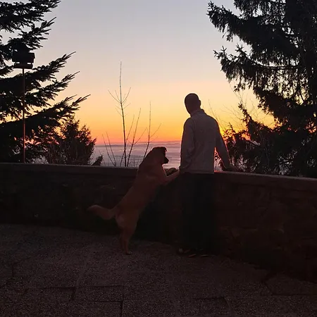 Gostisce Jelka Bed and Breakfast *