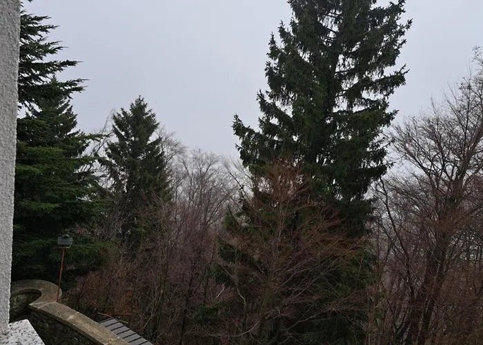 Frühstückspension Gostisce Jelka Hočko Pohorje