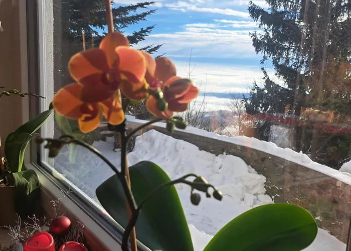 Gostisce Jelka Bed & Breakfast Hočko Pohorje