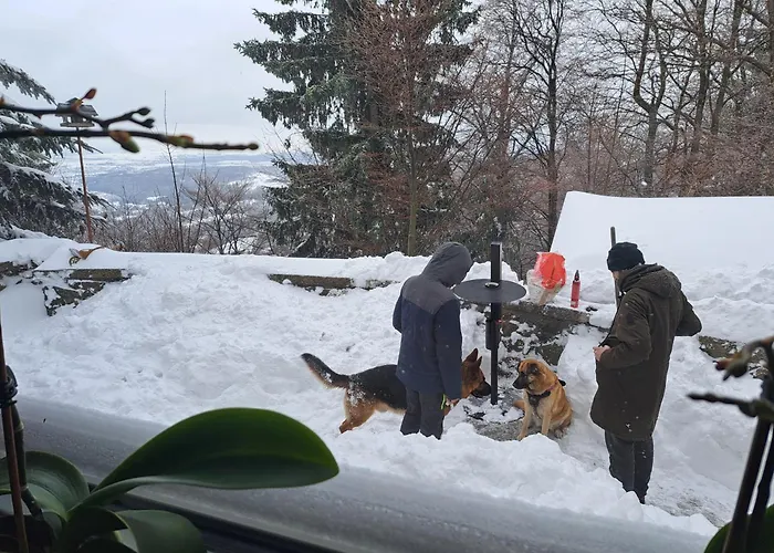 Bed & Breakfast Gostisce Jelka *