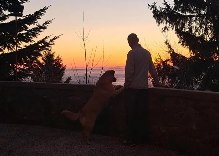 Gostisce Jelka Bed & Breakfast *